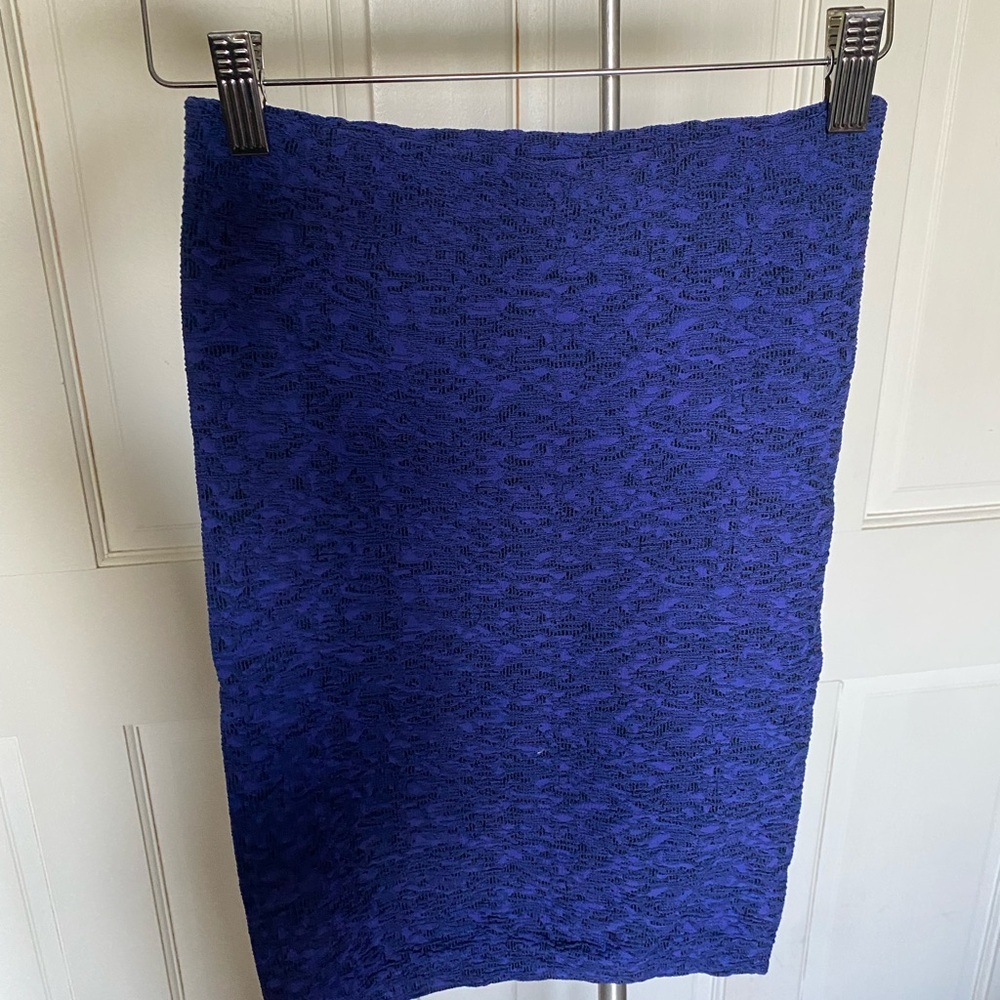 Elegant Blue Textured Women's Skirt